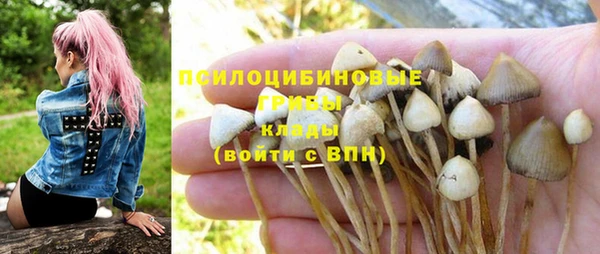 гидропоника Алзамай