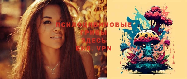 бошки Алексеевка