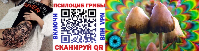 МЕГА ССЫЛКА Иркутск Галлюциногенные грибы MAGIC MUSHROOMS